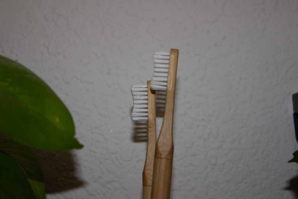 Bamboo Toothbrush w/ Replaceable head