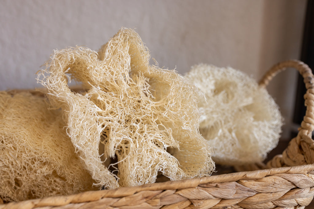 Loofah - Natural Sponge