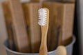 Bamboo Toothbrush w/ Replaceable head
