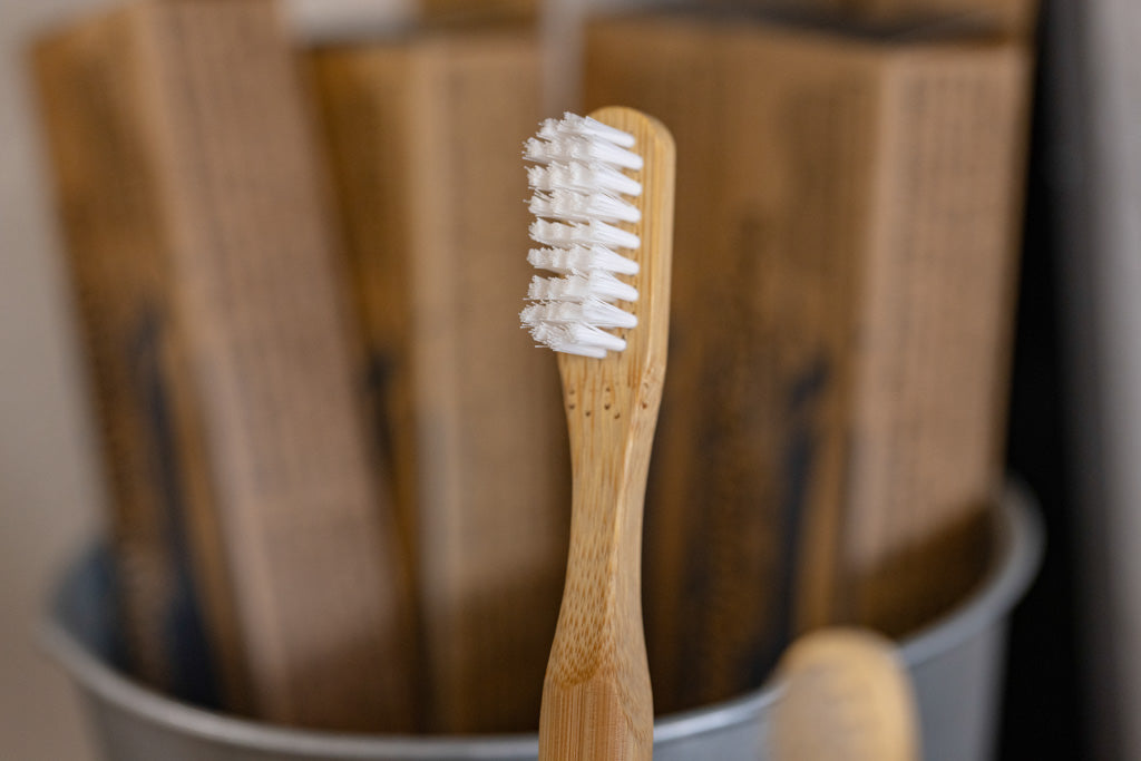 Bamboo Toothbrush w/ Replaceable head