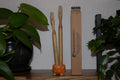 Two bamboo toothbrushes in an orange holder with a cardboard box labeled 'Oceans Respect' on a shelf.